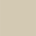 Solid soft beige color swatch representing elixir shade 1