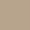 Solid beige color swatch representing elixir shade 2